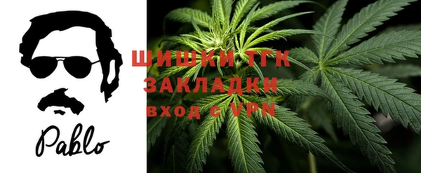 ГАЛЛЮЦИНОГЕННЫЕ ГРИБЫ Гусев