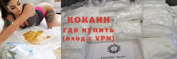 ГАЛЛЮЦИНОГЕННЫЕ ГРИБЫ Гусев