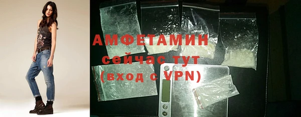 молекула духа Горняк