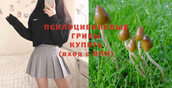 ГАЛЛЮЦИНОГЕННЫЕ ГРИБЫ Гусев