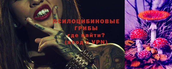 ГАЛЛЮЦИНОГЕННЫЕ ГРИБЫ Гусев