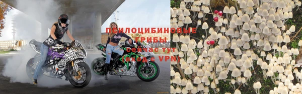 ГАЛЛЮЦИНОГЕННЫЕ ГРИБЫ Гусев