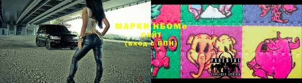 ГАЛЛЮЦИНОГЕННЫЕ ГРИБЫ Гусев