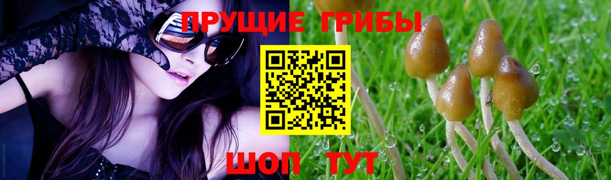 Обь  Галлюциногенные грибы мухоморы  Вход с VPN 